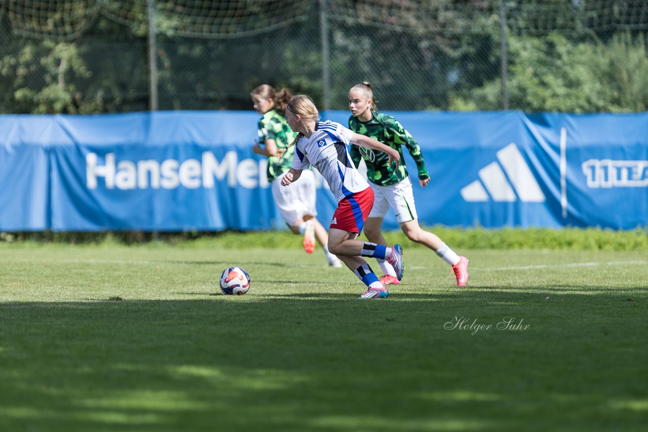 Bild 315 - wBJ Hamburger SV - VfL Wolfsburg : Ergebnis: 5:1
